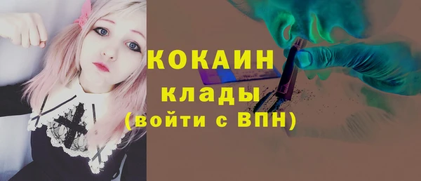 тгк Вяземский