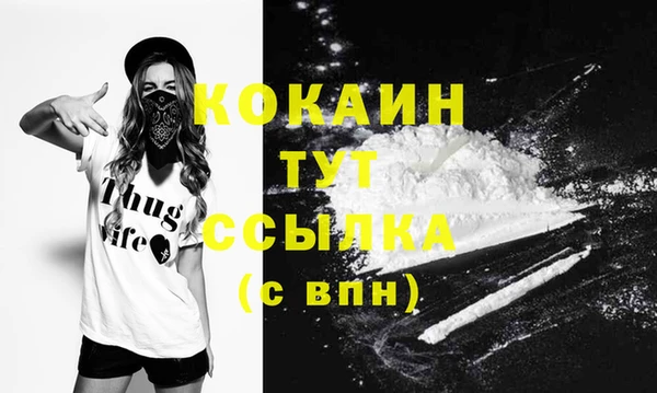 тгк Вяземский